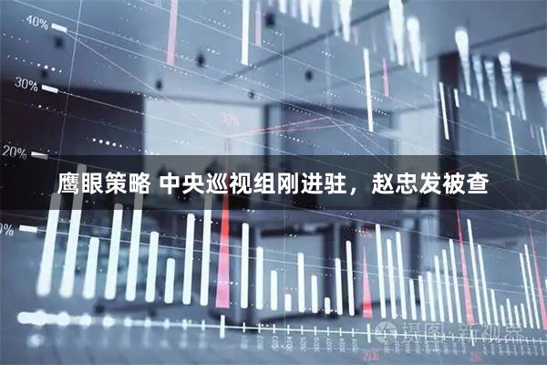 鹰眼策略 中央巡视组刚进驻，赵忠发被查