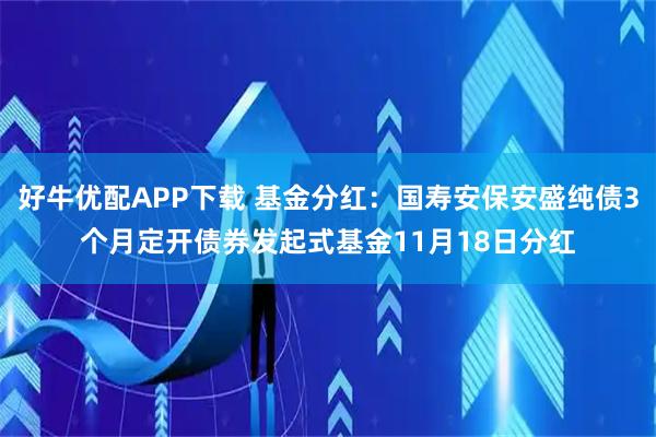 好牛优配APP下载 基金分红：国寿安保安盛纯债3个月定开债券发起式基金11月18日分红