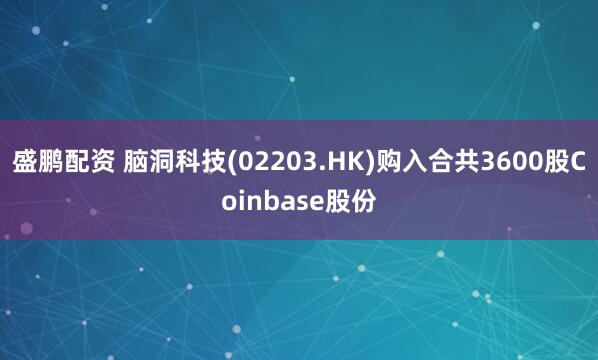 盛鹏配资 脑洞科技(02203.HK)购入合共3600股Coinbase股份