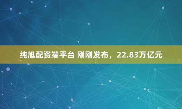 纯旭配资端平台 刚刚发布，22.83万亿元
